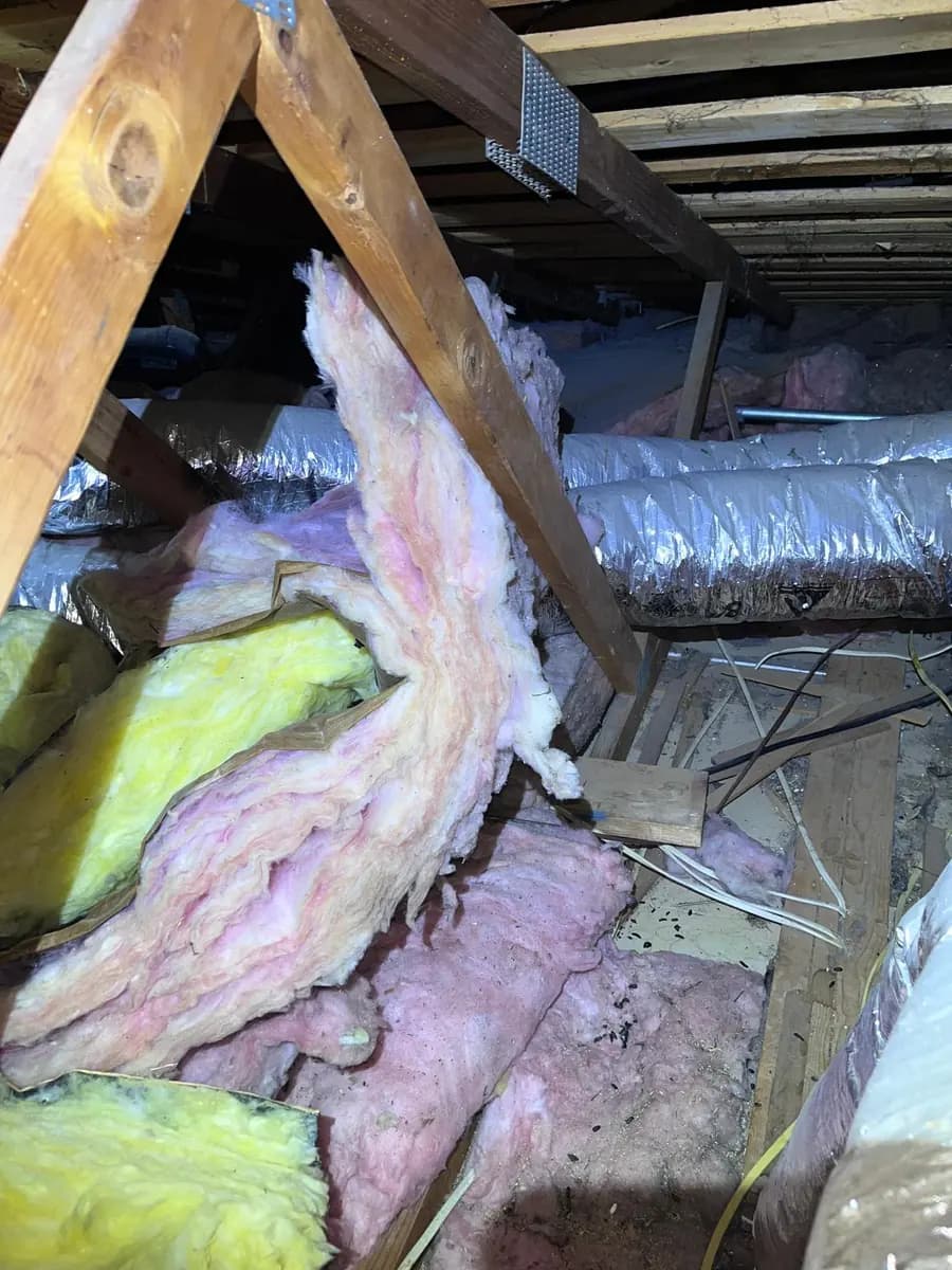 Attic floor with old insulation pulled apart and scattered between the joists, mixed with debris and rodent droppings.